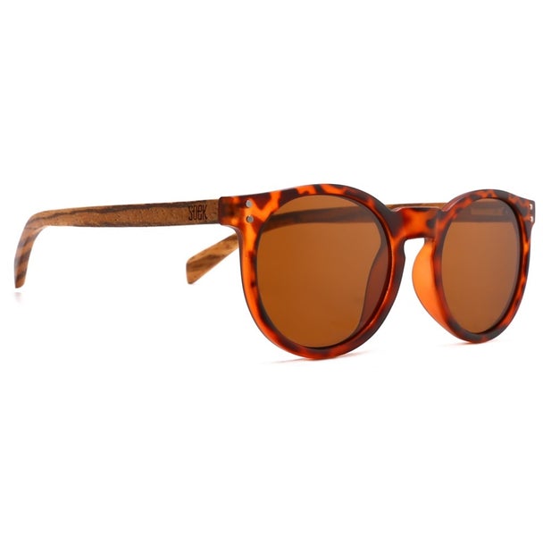 Noosa Tortoise